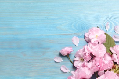 Beautiful sakura tree blossoms on turquoise wooden table, flat lay. Space for text