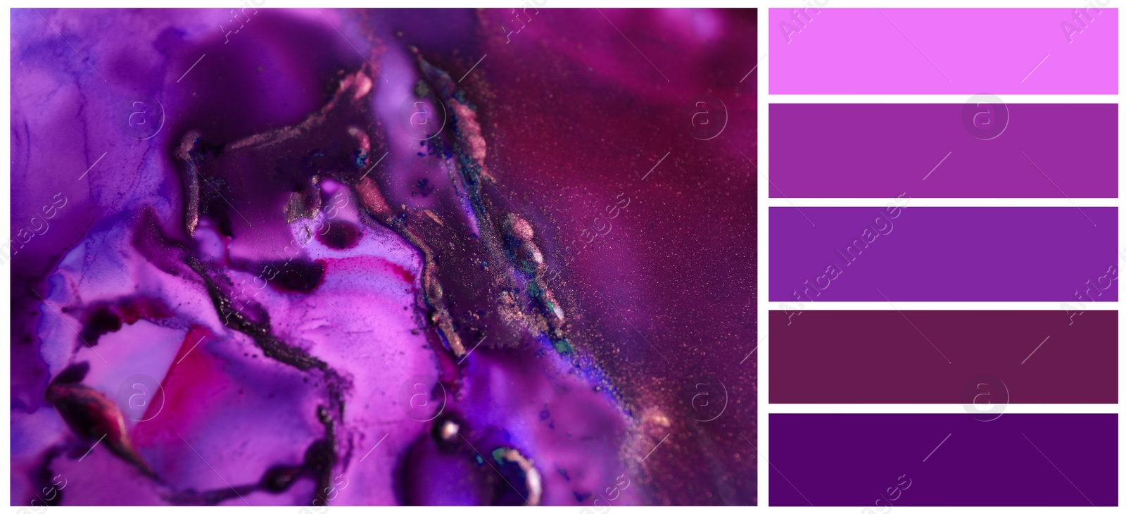 Image of Color palette appropriate to photo of beautiful abstract ink painting