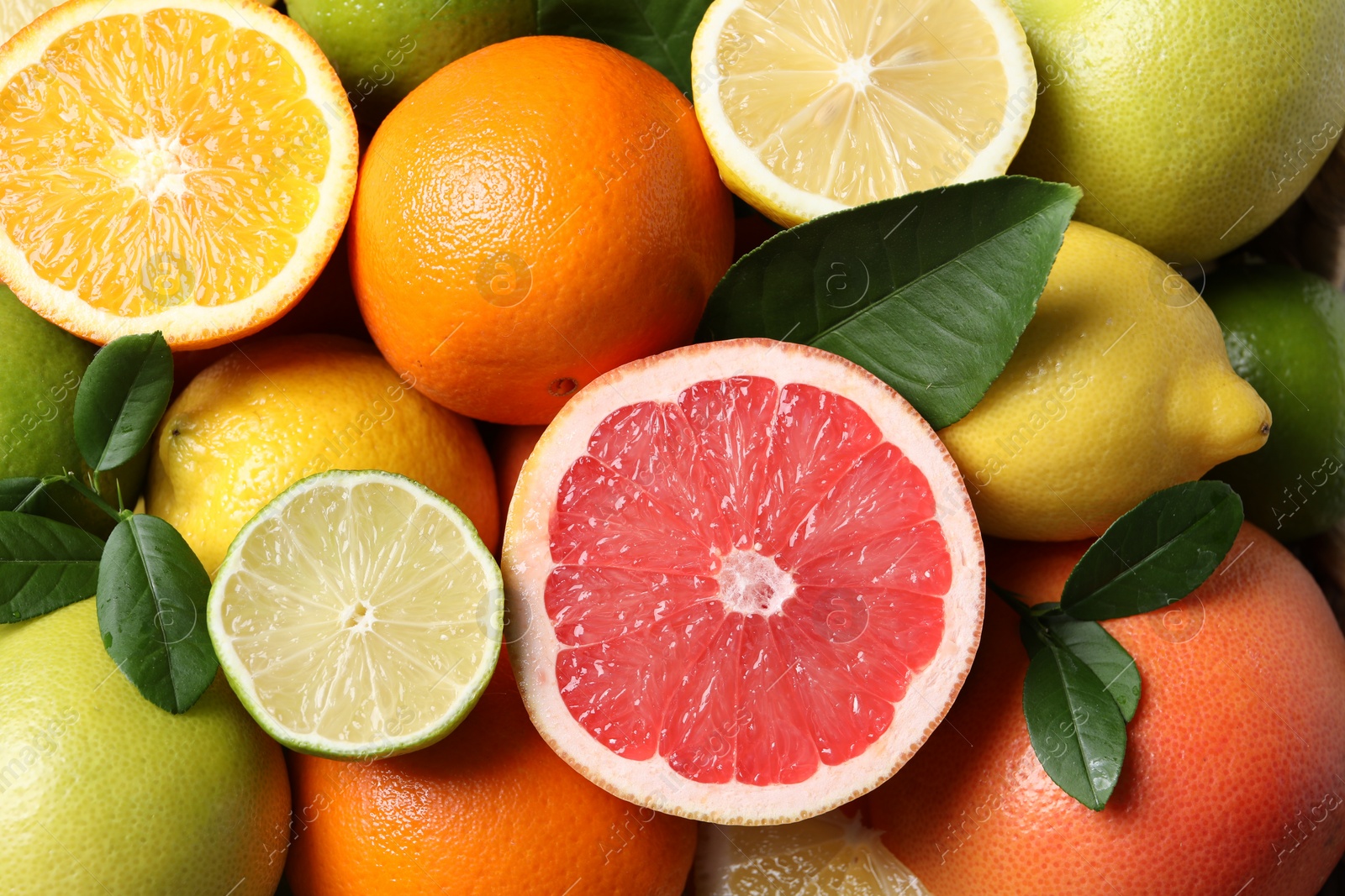 Photo of Different cut and whole citrus fruits as background, top view