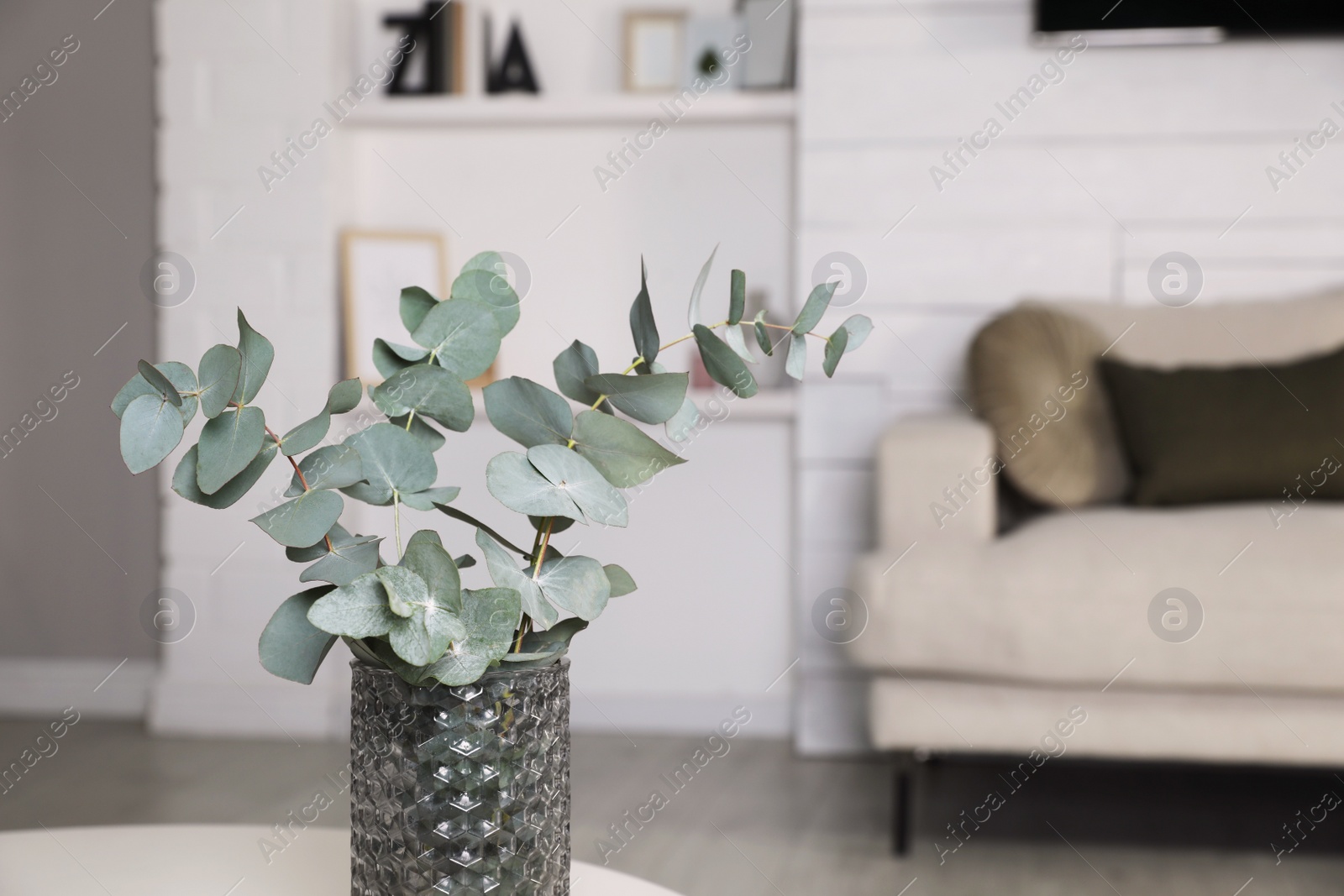 Photo of Vase with beautiful eucalyptus branches in living room. Space for text