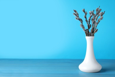 Photo of Beautiful bouquet of pussy willow branches on light blue wooden table. Space for text