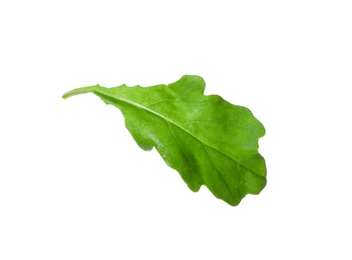 Photo of Leaf of fresh arugula isolated on white