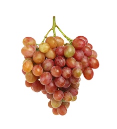 Bunch of fresh ripening red grapes isolated on white