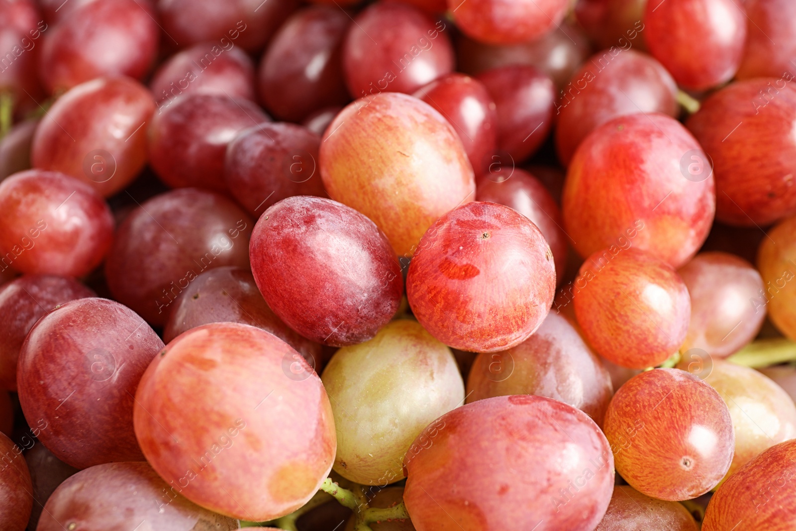 Photo of Fresh ripe juicy pink grapes as background, closeup view