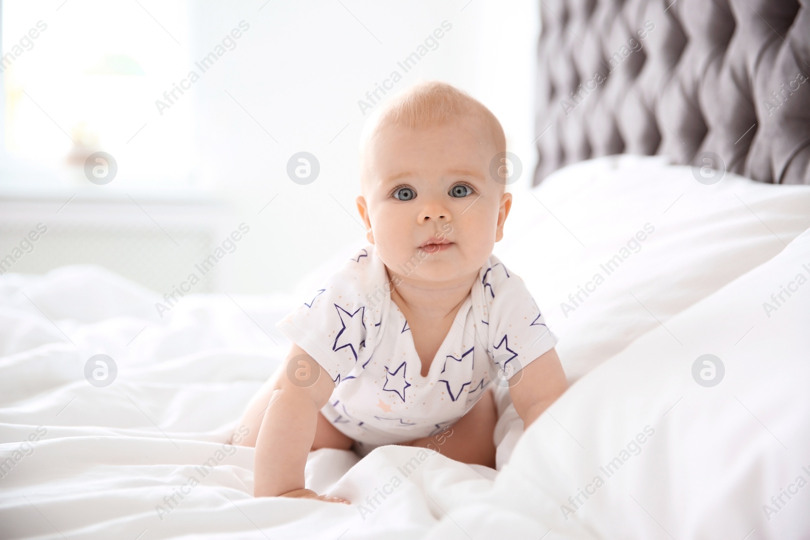 Photo of Cute little baby crawling on bed at home