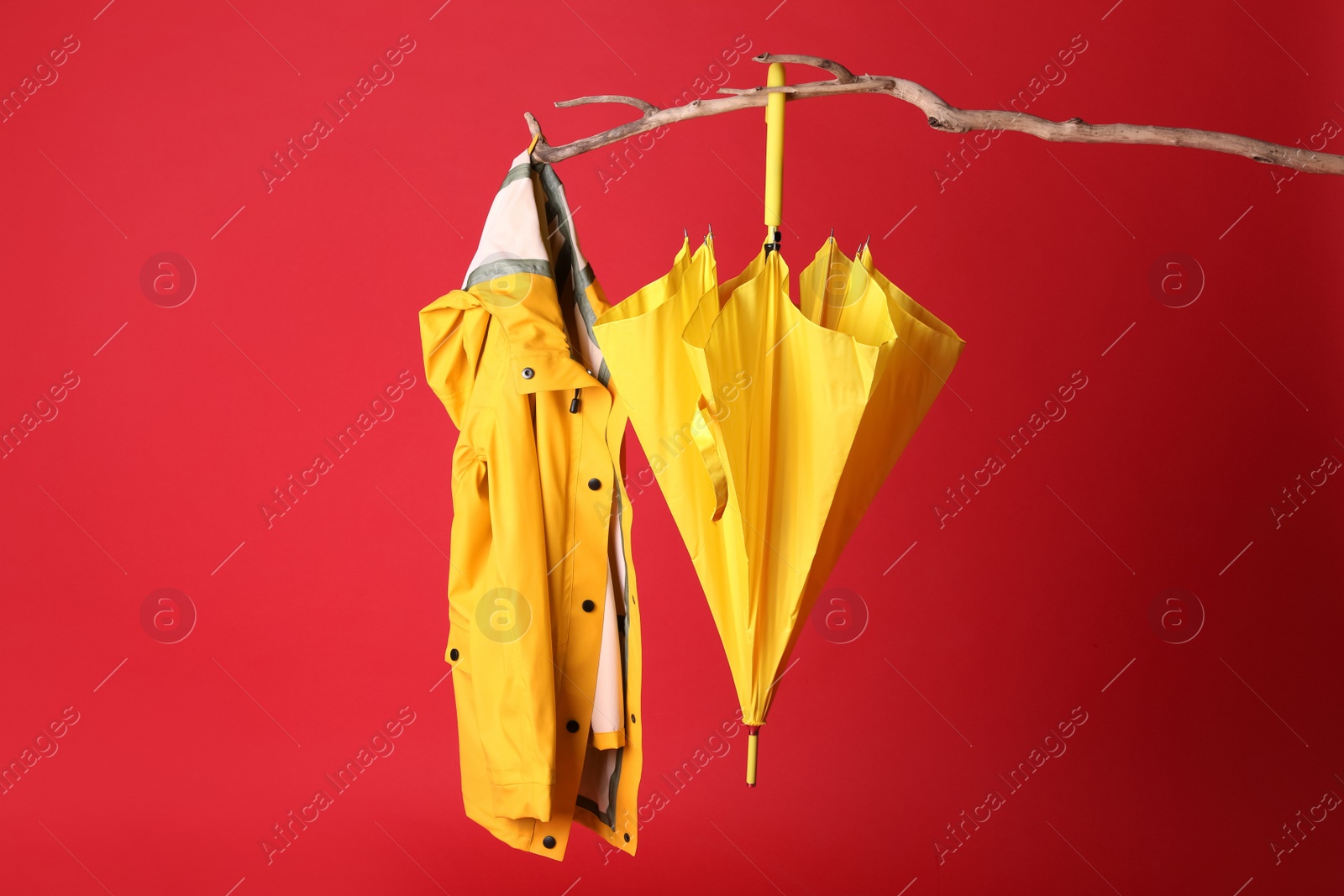 Photo of Closed yellow umbrella and stylish raincoat hanging on branch against red background