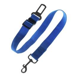 Photo of Blue dog leash isolated on white. Pet accessory