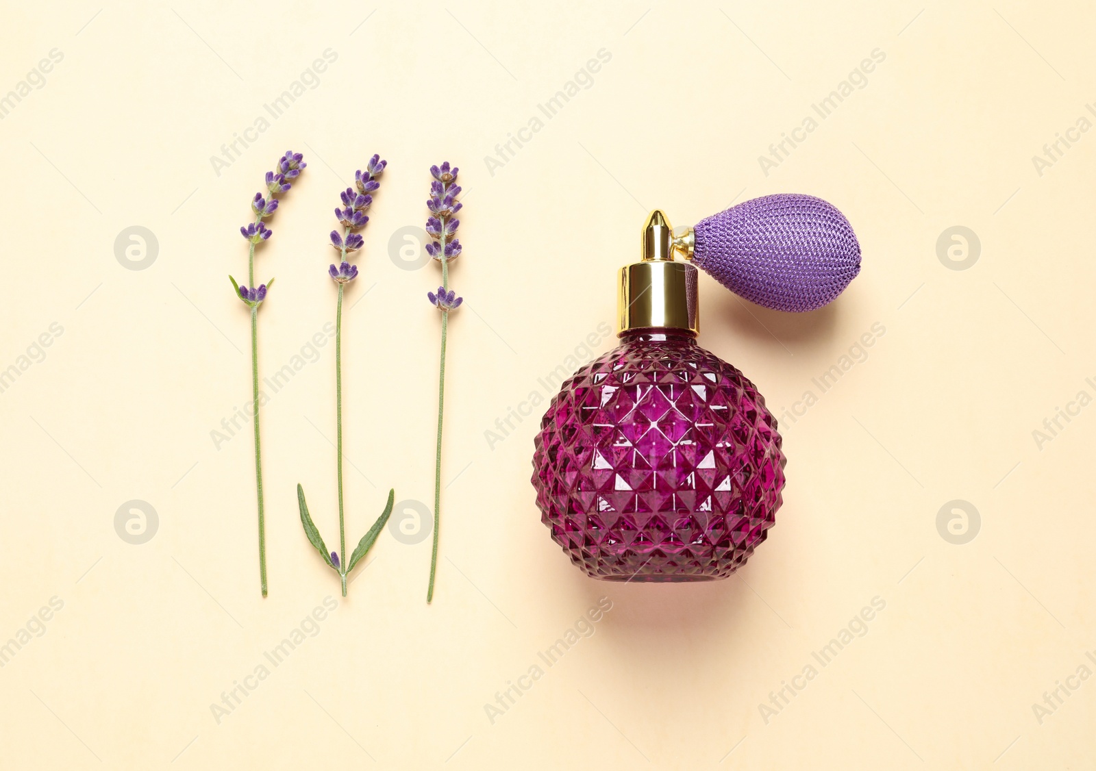 Photo of Flat lay composition with elegant perfume and beautiful flowers on beige background