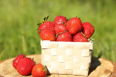 Photo of Basket and ripe strawberries on tree stump outdoors, closeup