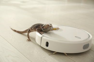 Robotic vacuum cleaner and bearded dragon lizard indoors