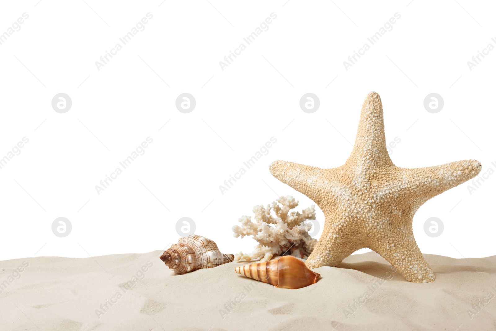 Photo of Beautiful sea star, coral and seashells in sand on white background