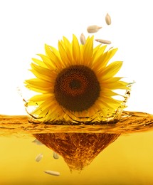 Image of Sunflower and seeds falling into cooking oil on white background