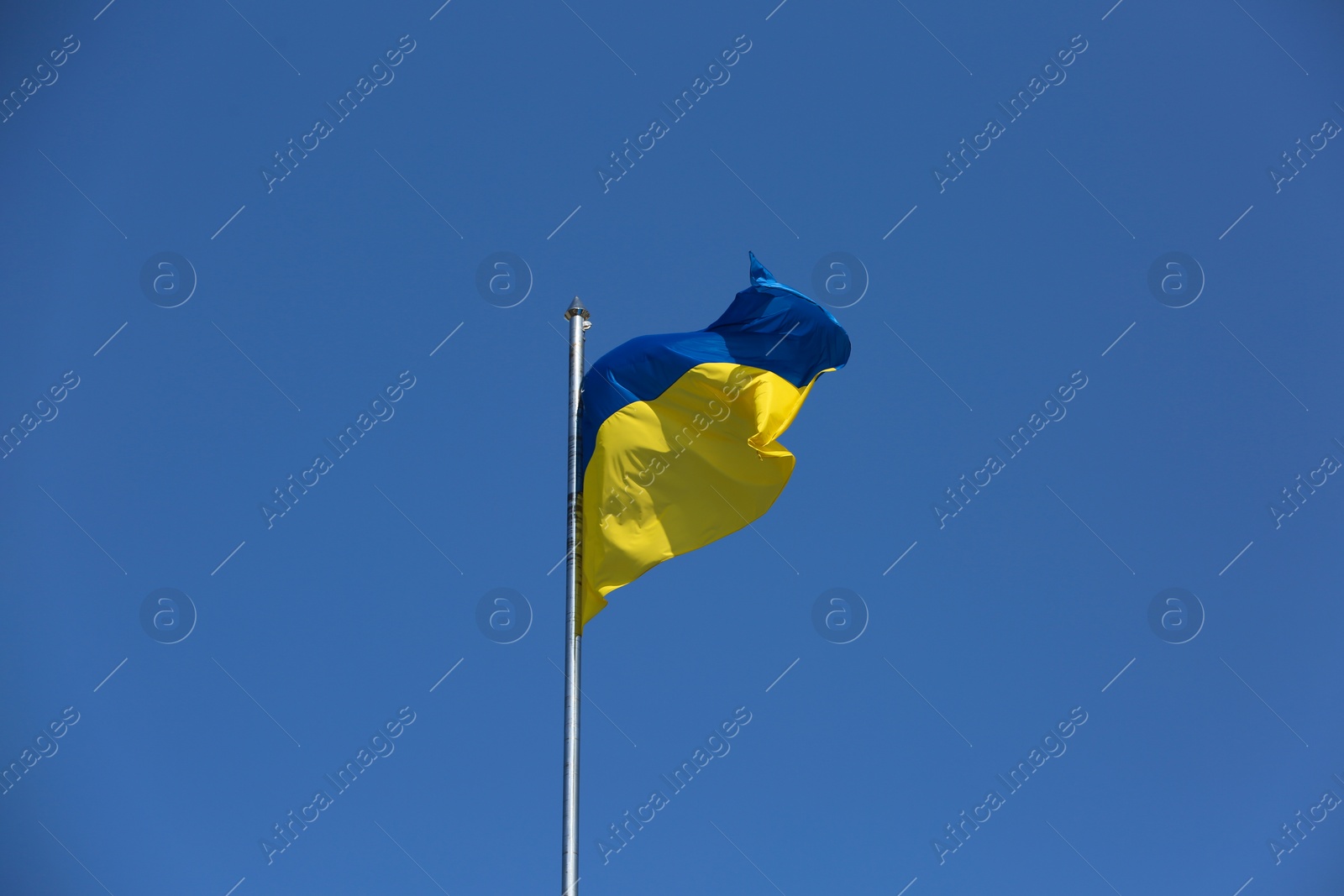 Photo of National flag of Ukraine fluttering against blue sky