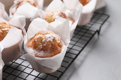 Delicious muffins with powdered sugar on light table, closeup