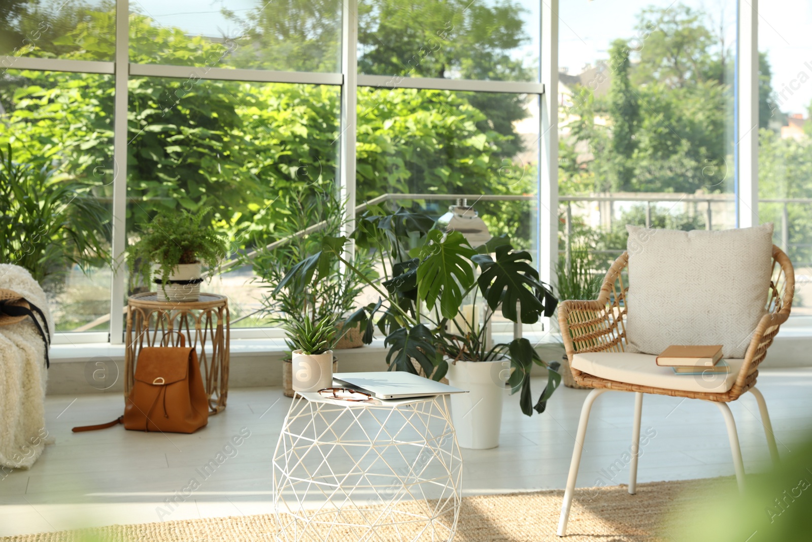 Photo of Indoor terrace interior with elegant furniture and houseplants