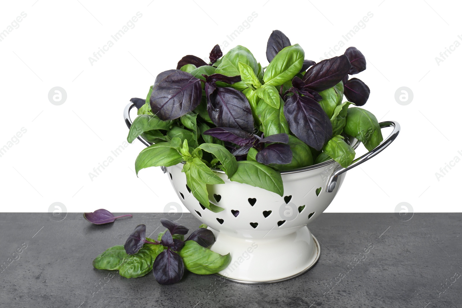 Photo of Colander with fresh basil leaves on grey table against white background