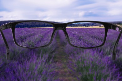 Vision correction. Lavender field becoming clearer when looking through glasses