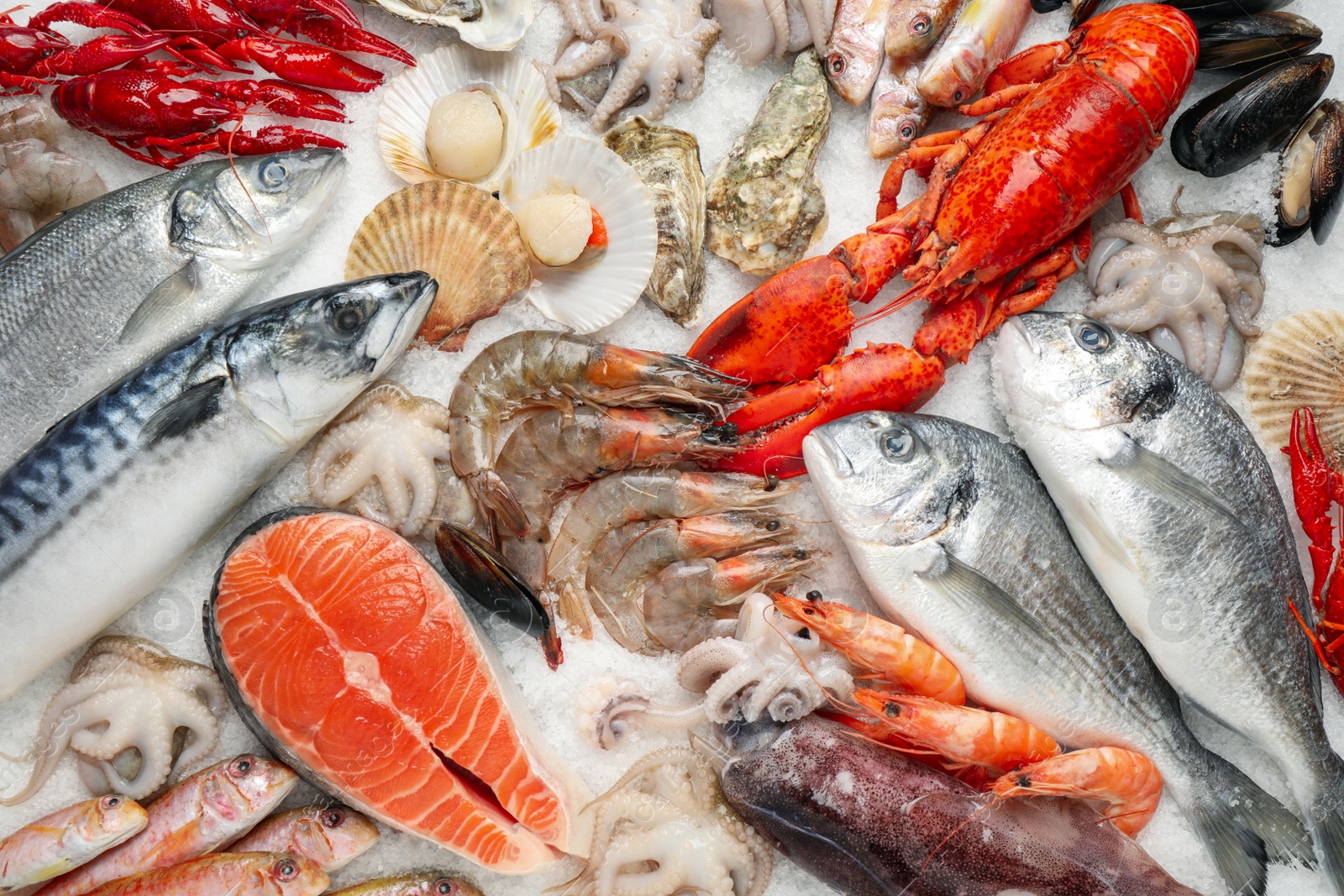 Photo of Fresh fish and seafood on ice, flat lay