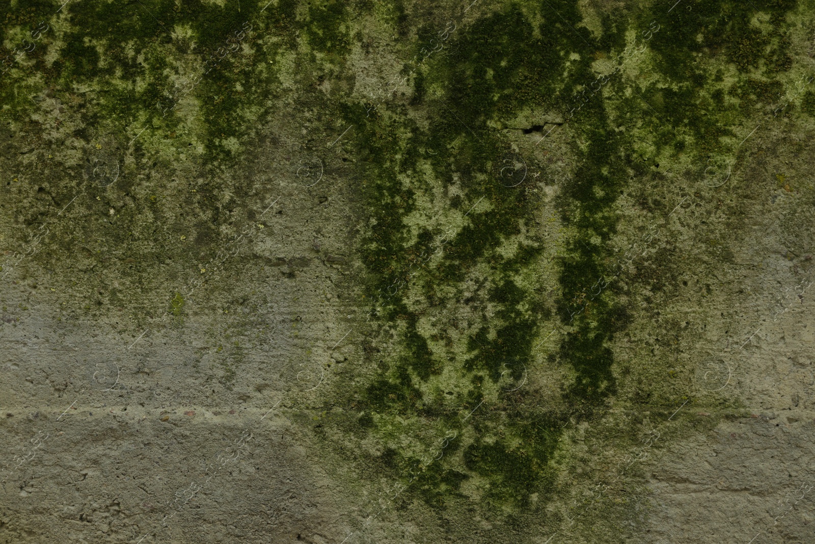 Photo of Stone wall with green moss as background, closeup