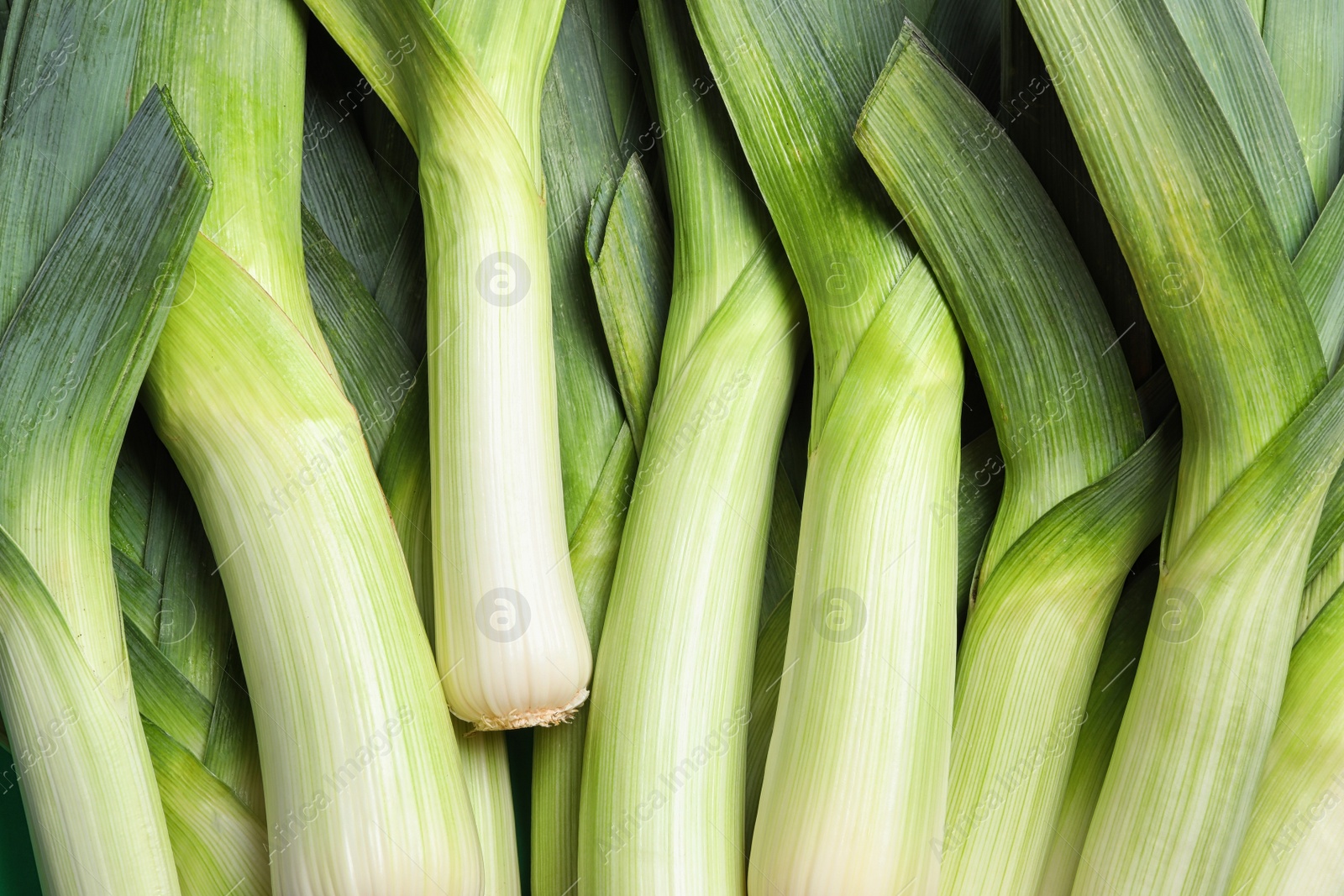 Photo of Fresh raw leeks as background, closeup. Ripe onion