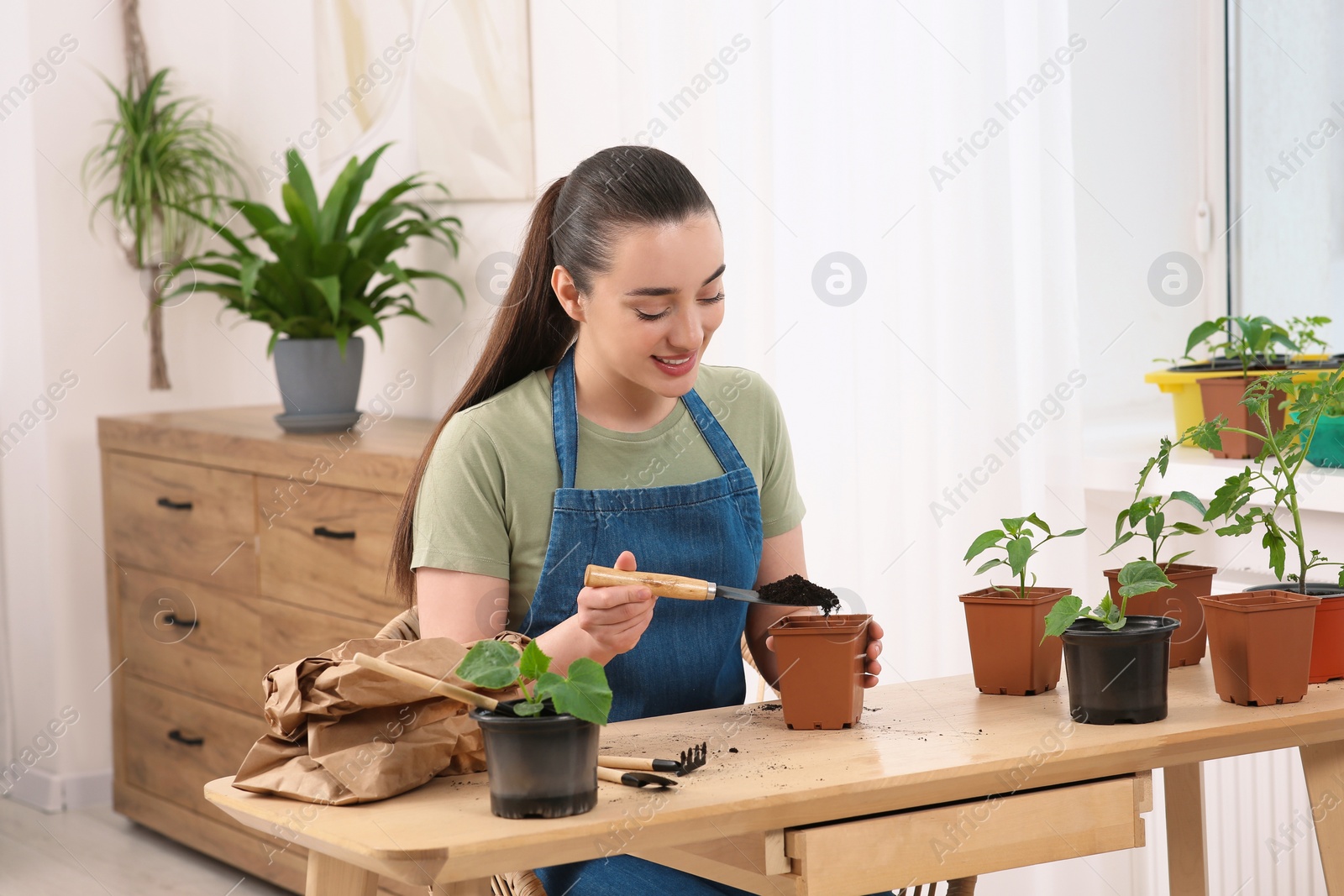 Photo of Happy woman planting seedling into pot at wooden table in room