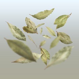 Image of Dry bay leaves falling on pale light dusty blue gradient background