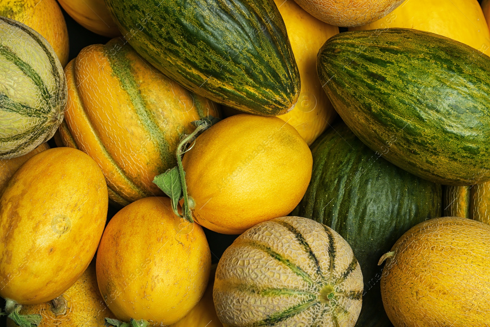 Photo of Fresh tasty ripe melons as background, top view