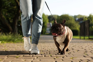 Photo of Woman walking with cute French Bulldog outdoors, closeup