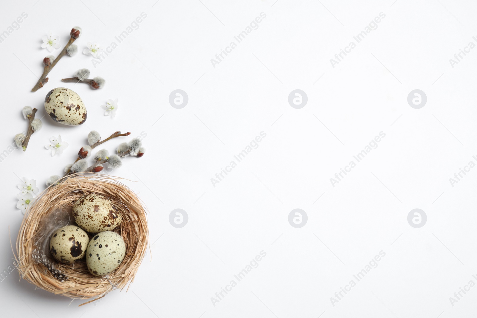 Photo of Flat lay composition with quail eggs on white background, space for text. Easter celebration