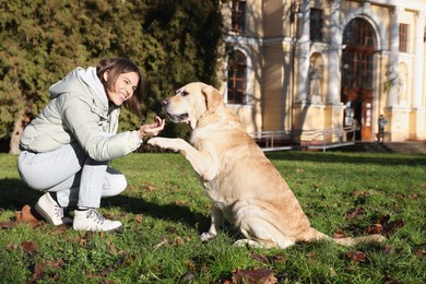Photo of Adorable Labrador Retriever giving paw to beautiful woman on green grass outdoors