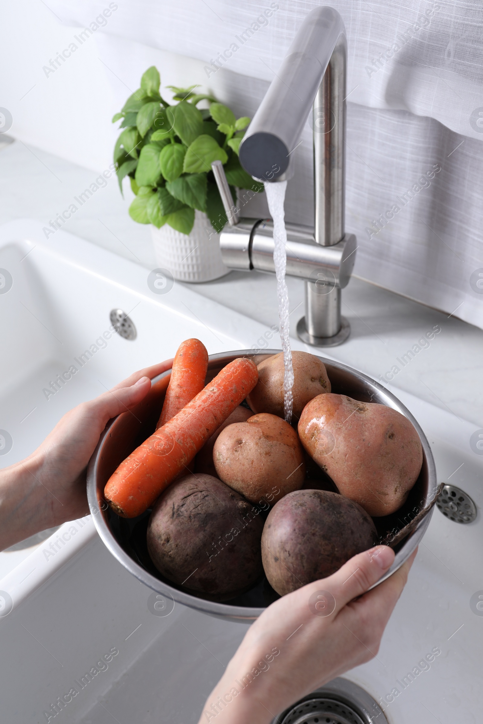 Photo of Woman washing fresh vegetables in kitchen sink, closeup. Cooking vinaigrette salad