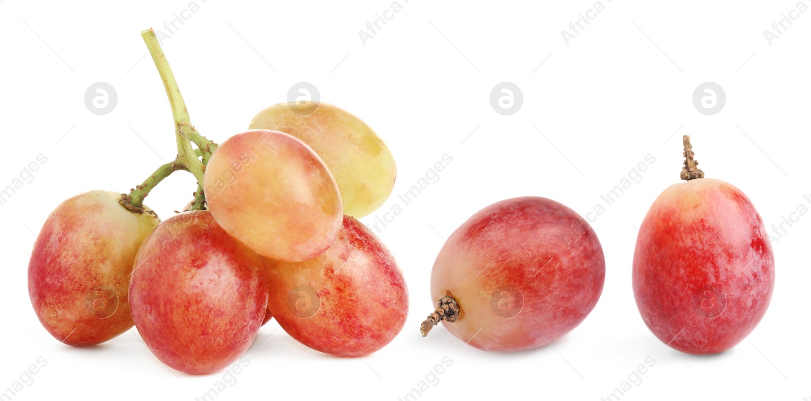 Image of Set of fresh grapes on white background. Banner design