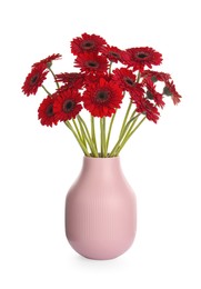 Bouquet of beautiful red gerbera flowers in vase on white background