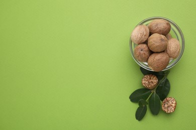 Nutmegs in bowl and branch on light green background, flat lay. Space for text