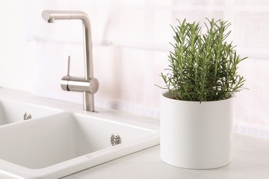 Photo of Aromatic green rosemary in pot on white countertop near kitchen sink