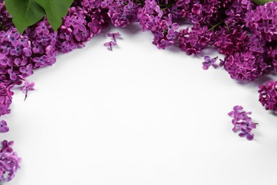 Photo of Beautiful lilac flowers on white background, space for text