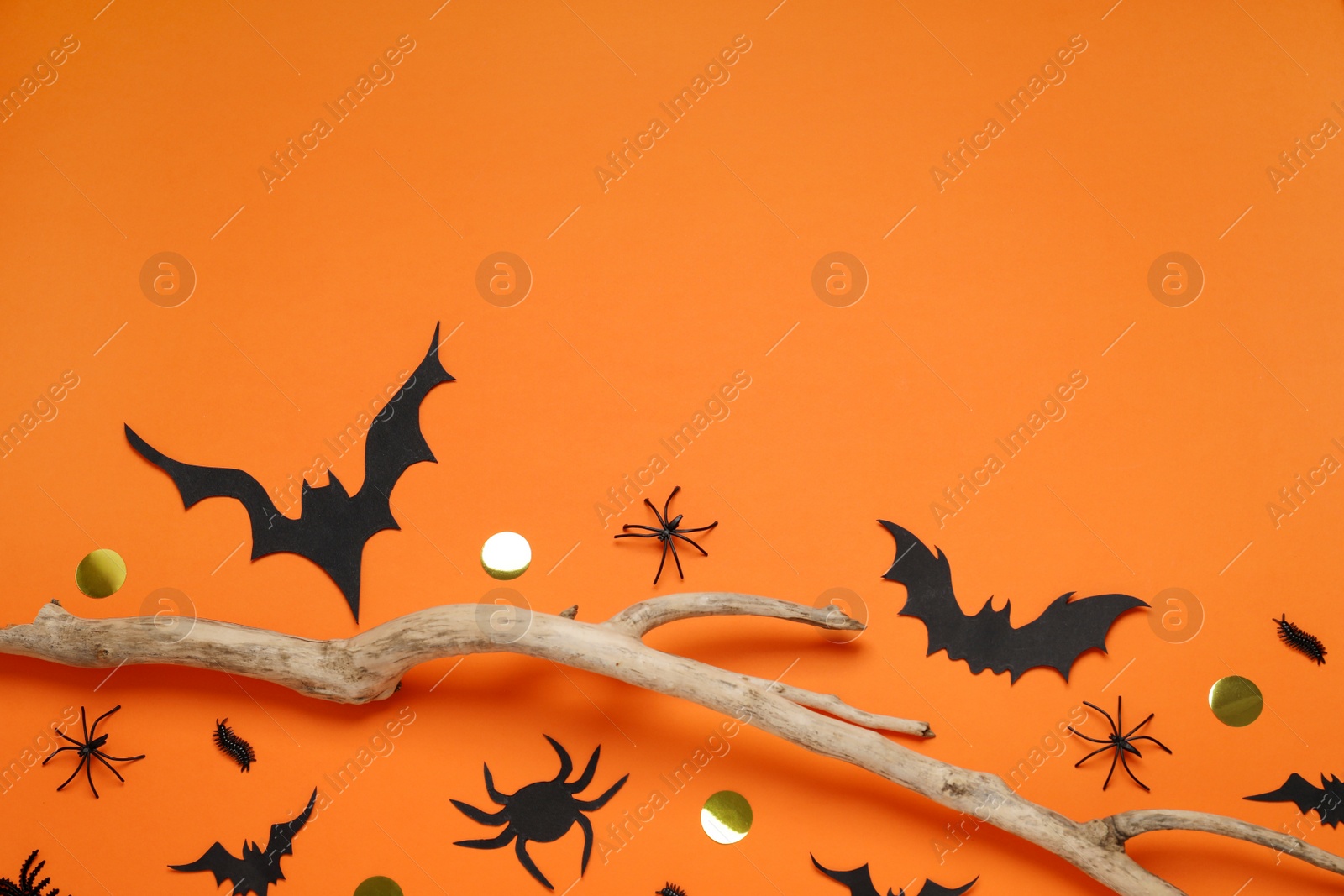 Photo of Flat lay composition with paper bats, spiders and wooden branch on orange background, space for text. Halloween decor
