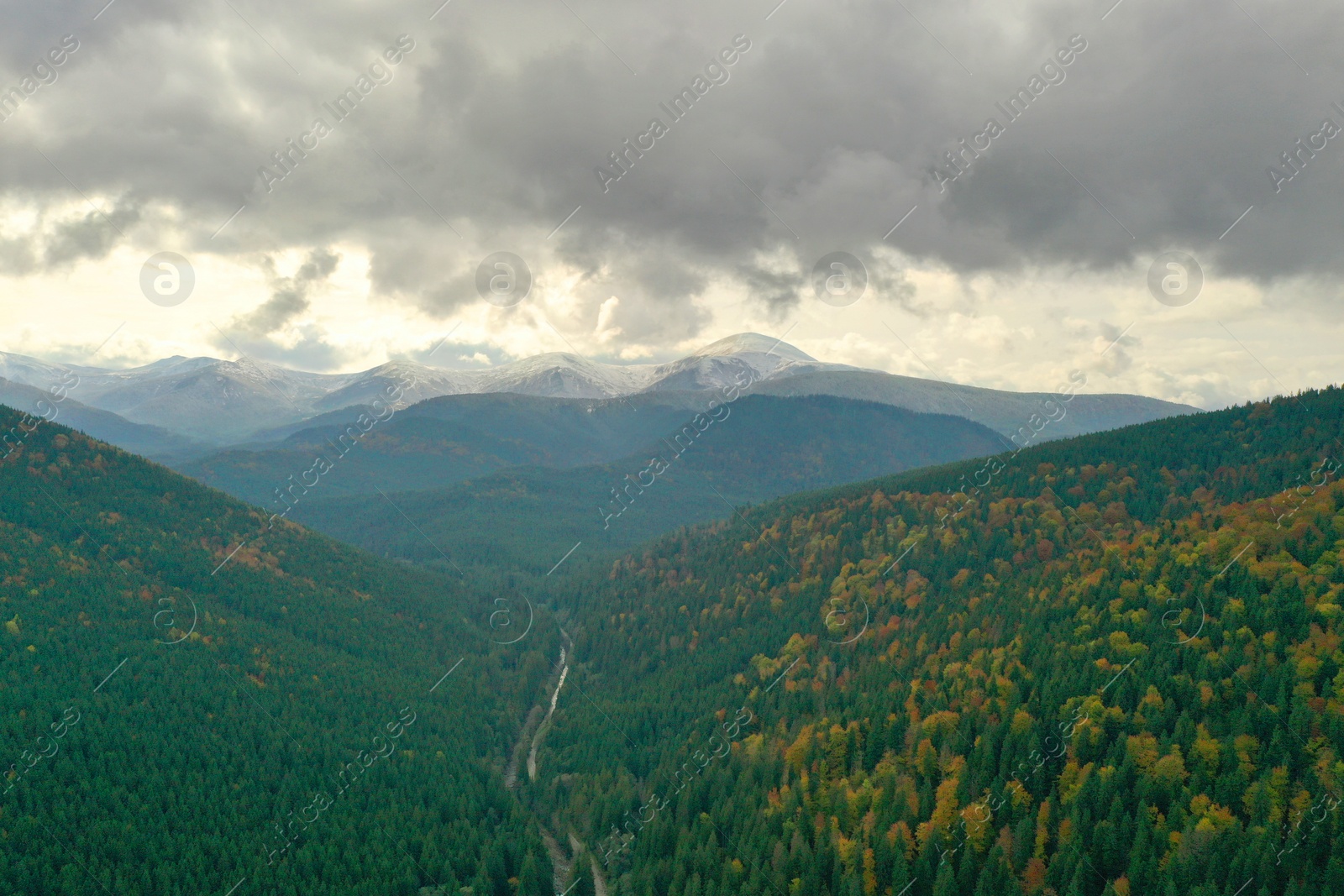 Photo of Aerial view of beautiful forest and road in mountain on autumn day