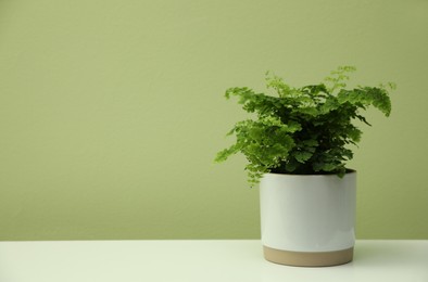 Photo of Beautiful fresh fern on white table. Space for text