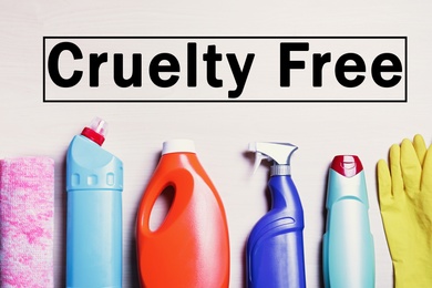 Image of Cruelty free concept. Cleaning products not tested on animals, flat lay 