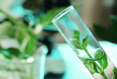 Photo of Green plant in test tube on blurred background, closeup. Biological chemistry