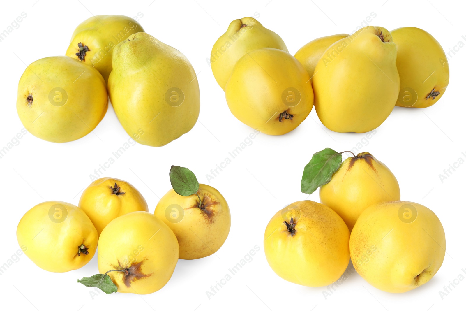 Image of Fresh ripe quince fruits isolated on white, set