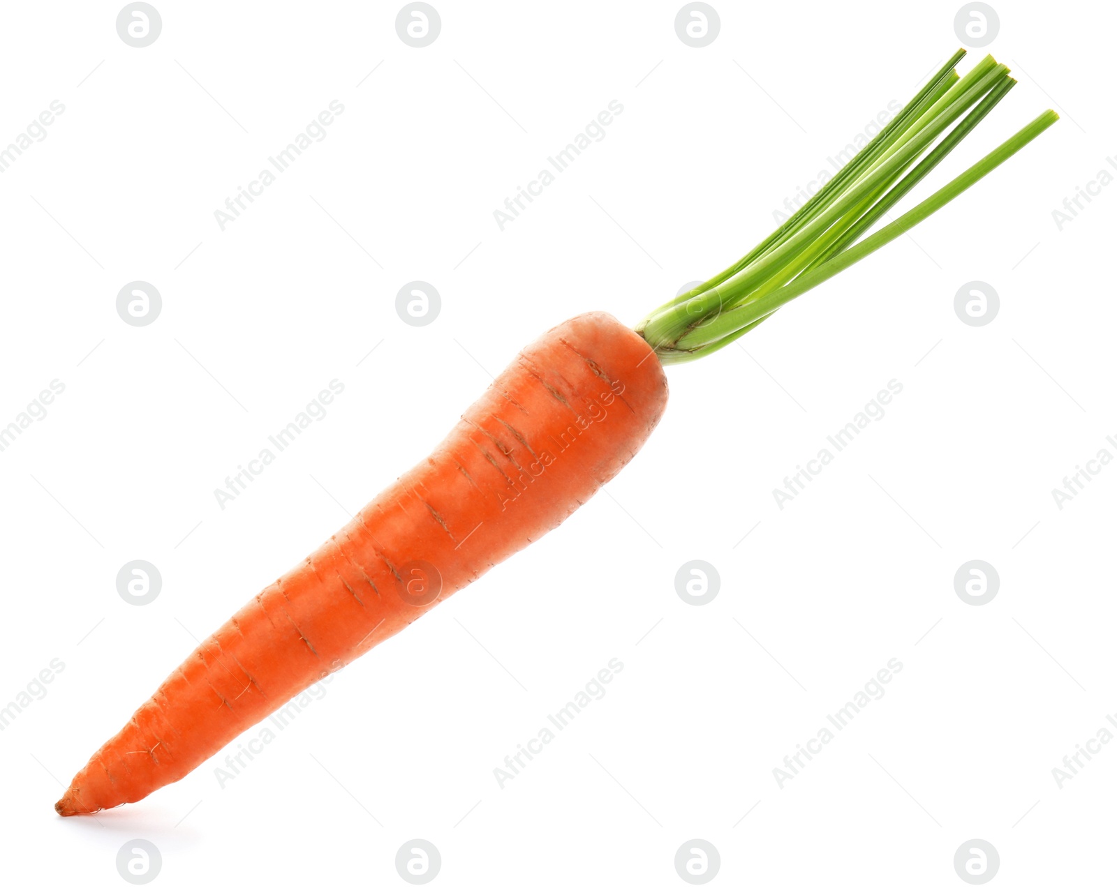 Photo of Ripe fresh carrot on white background