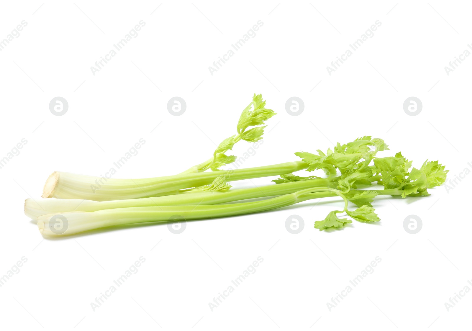 Photo of Fresh green celery stems isolated on white