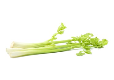 Fresh green celery stems isolated on white