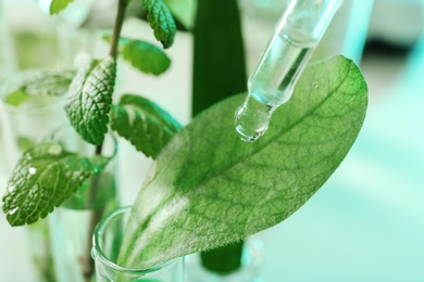 Photo of Clear liquid dropping from pipette on leaf against blurred background, closeup. Plant chemistry