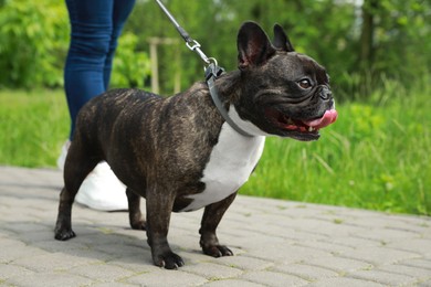 Photo of Woman walking with cute French Bulldog outdoors, closeup