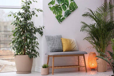 Photo of Stylish modern room interior with exotic houseplants