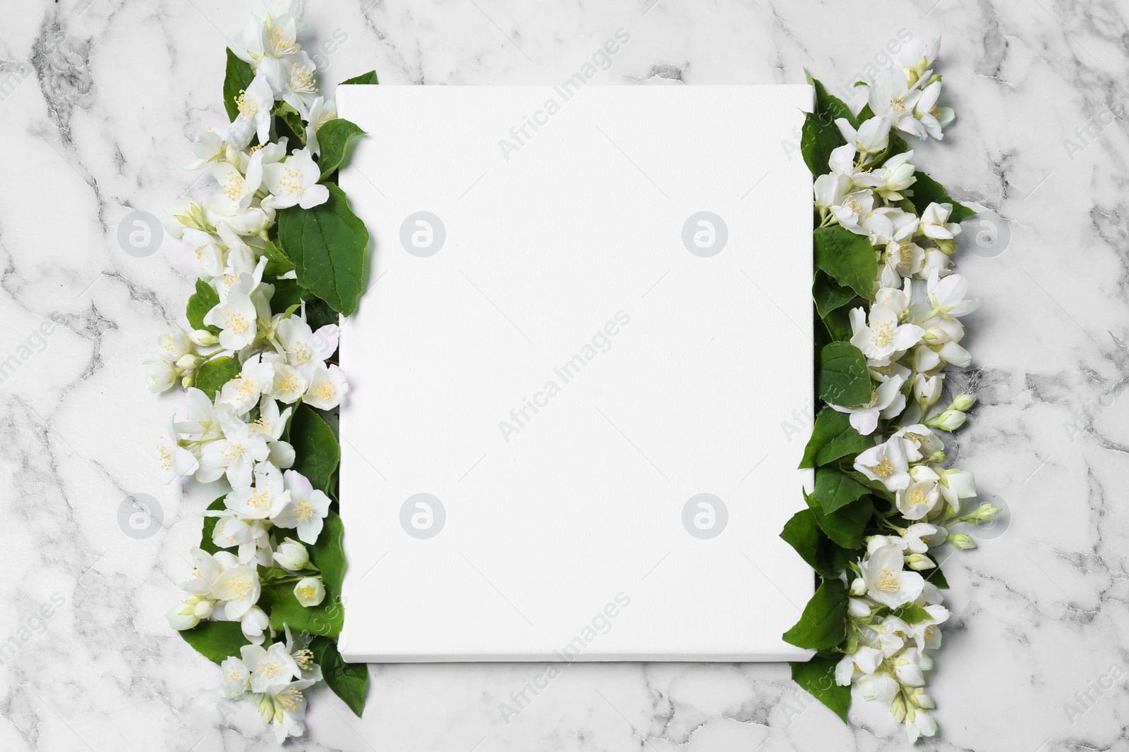 Photo of Blank canvas and beautiful jasmine flowers on white marble table, flat lay. Space for design