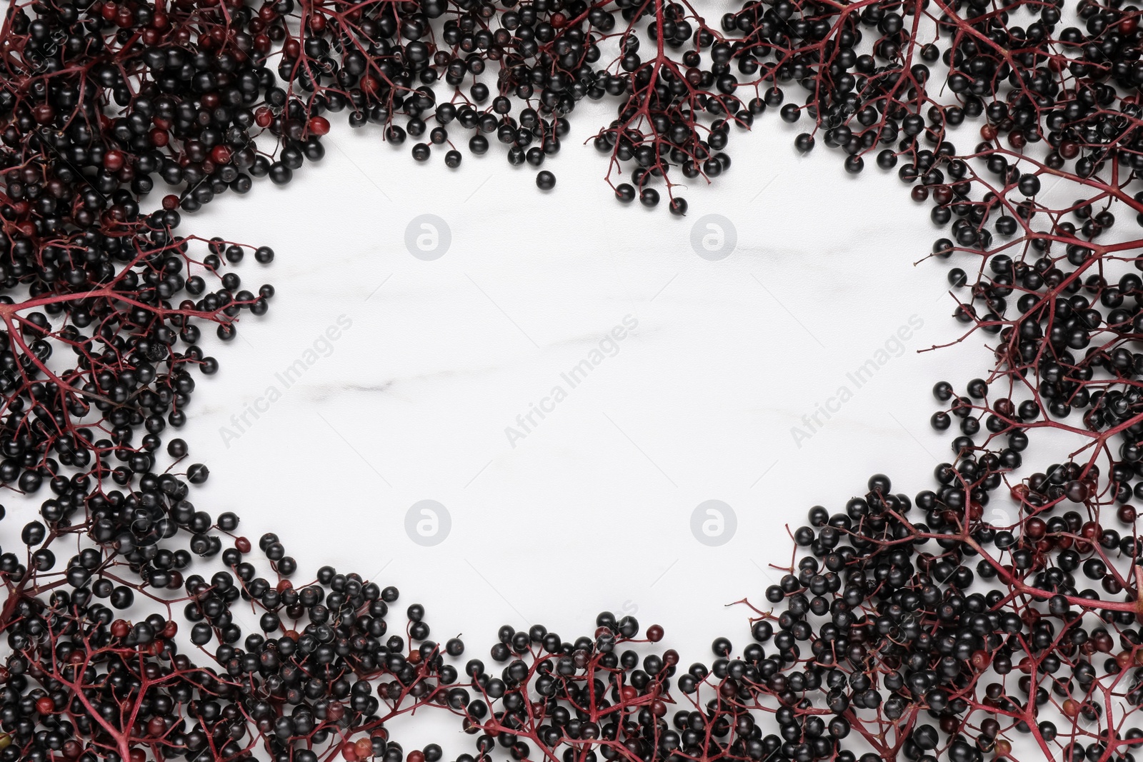 Photo of Frame of ripe elderberries on white marble table, flat lay. Space for text